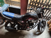 Walton Cruize 2011 Black